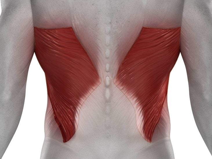 Latissimus dorsi pain: Symptoms, causes, and exercises for relief