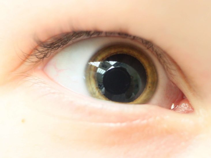 Pupil dilation and attraction