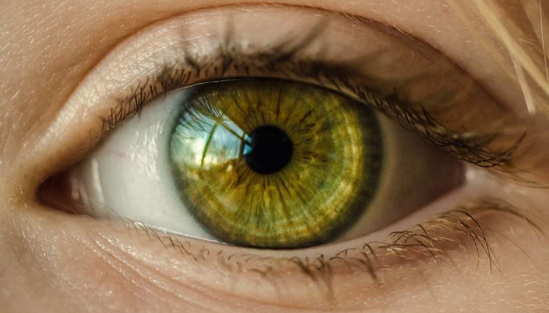 eye color: What to know and how to it