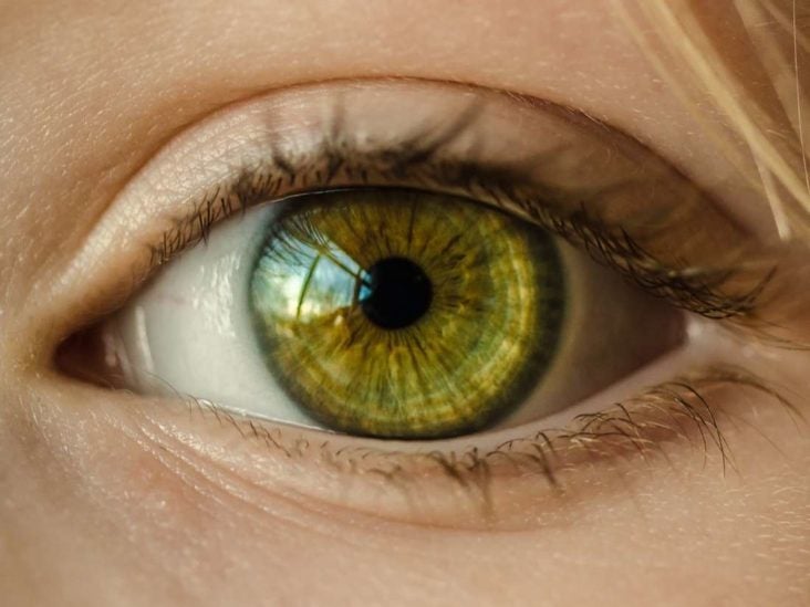 Centimeter Centimeter middag Eye color percentages around the world and what causes eye color