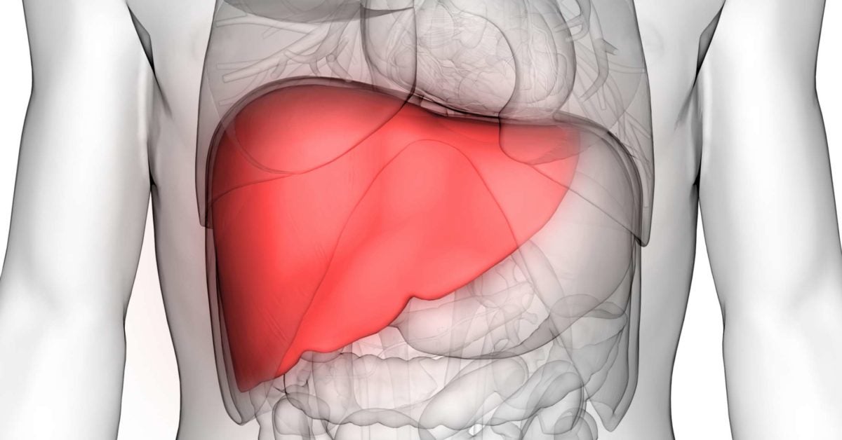 What Does Liver Transplant Mean