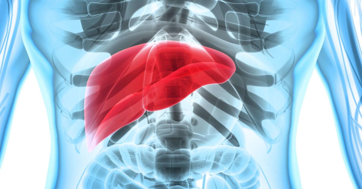 Hepatosplenomegaly Causes Complications And Treatment