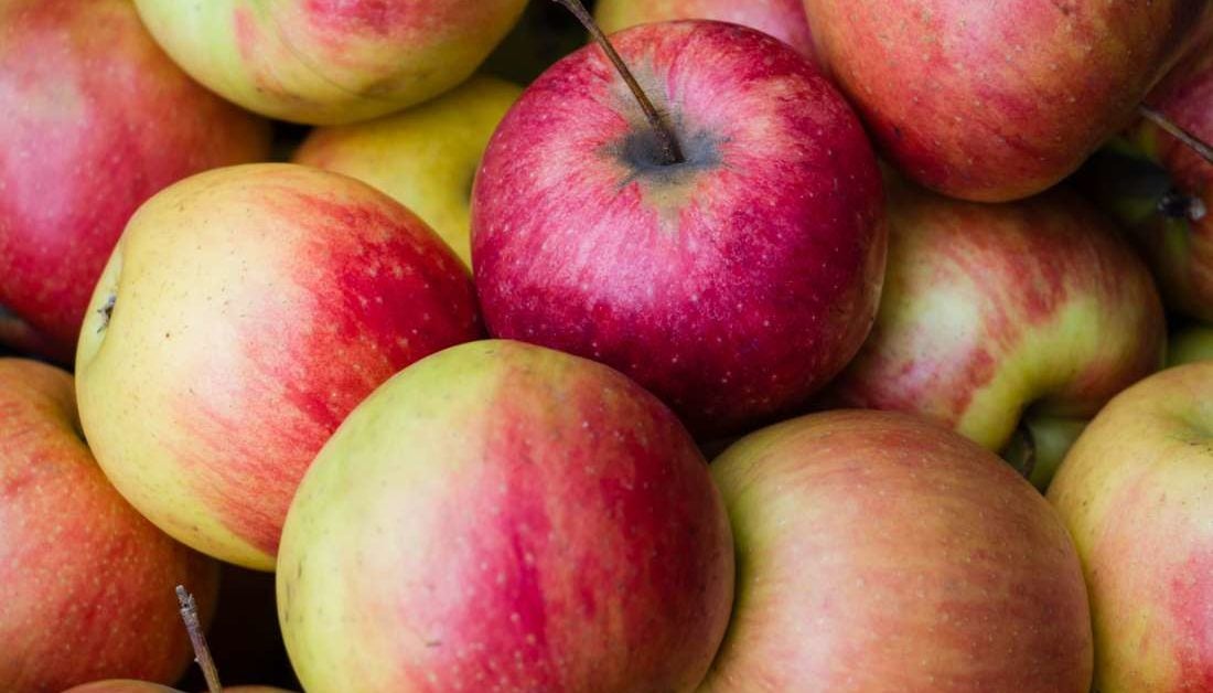 Apples and diabetes Benefits, nutrition, and other fruits