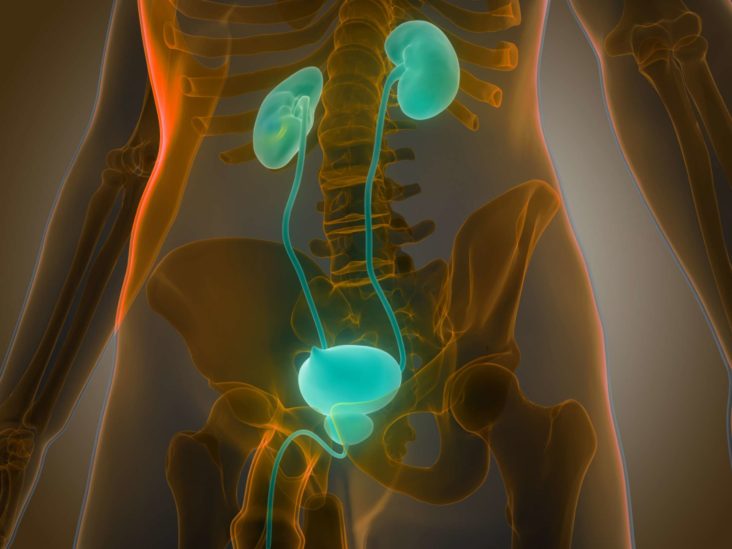 Prostatitis aki beteg a krónikus prosztatagyulladás modern kezelési módszerei