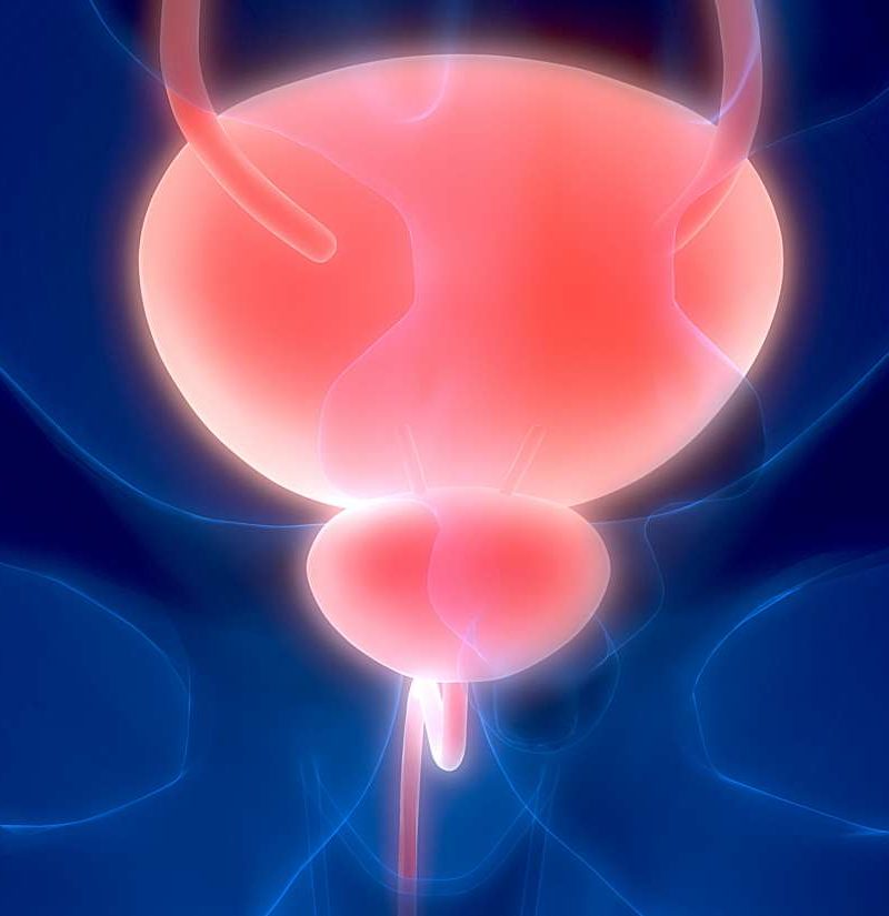 Bladder spasms Causes, symptoms, and treatment