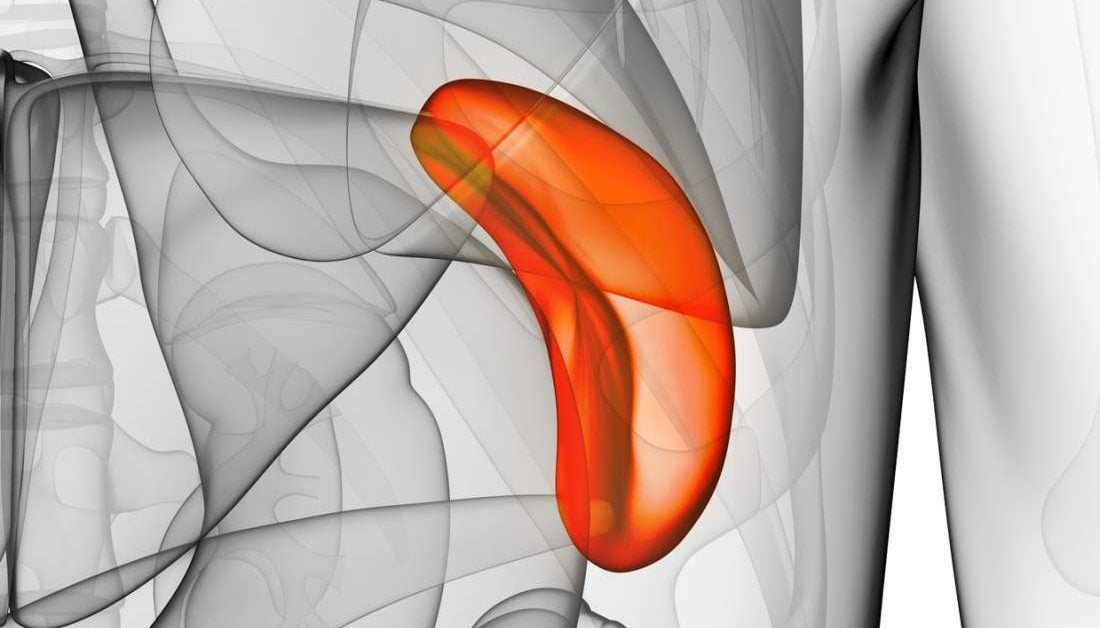 Spleen cancer: Causes, symptoms, and treatments