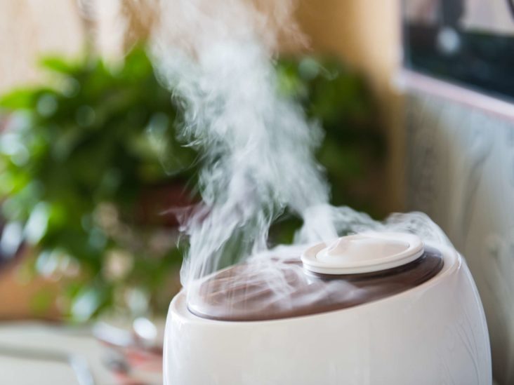 Where can i get a deals humidifier