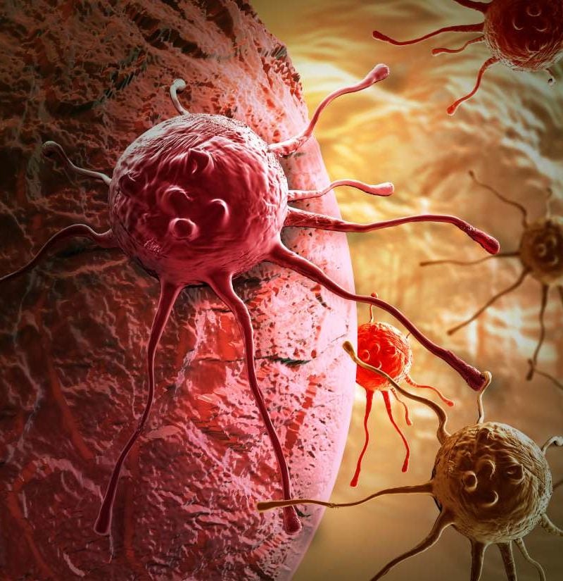 New 'potential target' for cancer therapy found