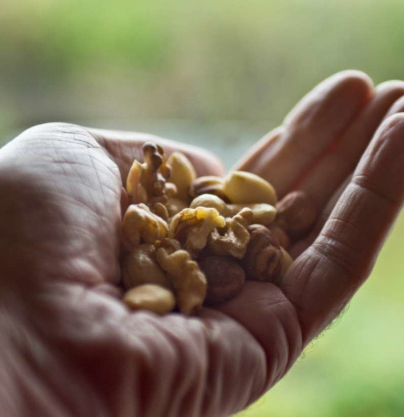 Does A Nut rich Diet Lead To Better Sperm Quality does-a-nut-rich-diet-lead-to-better-sperm-quality