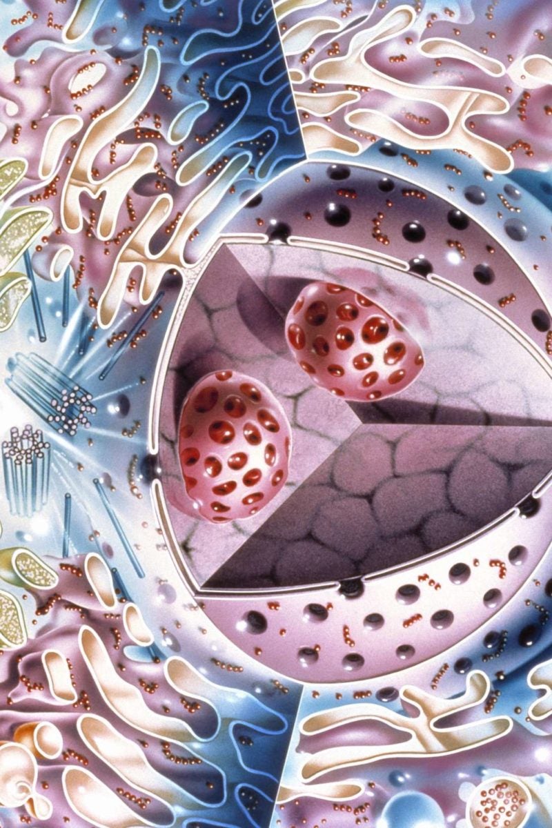 Understanding disease Reopening the cell