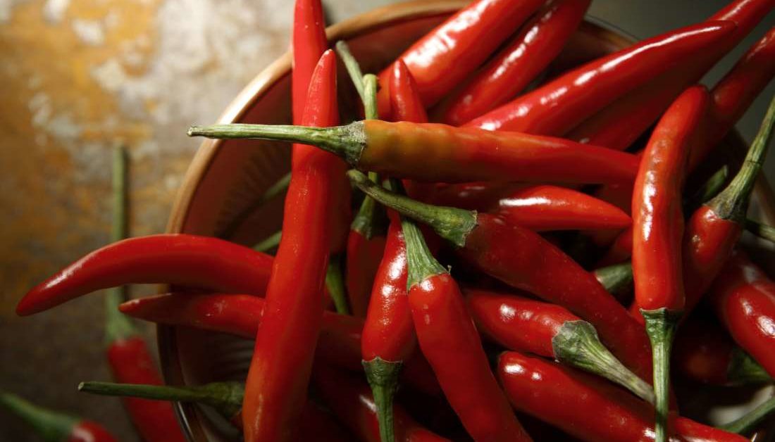Hot pepper compound may reduce obesity