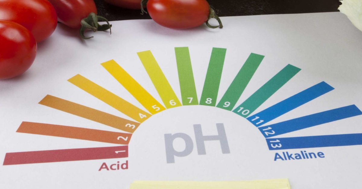 Are Acidic Foods Harmful To Health 