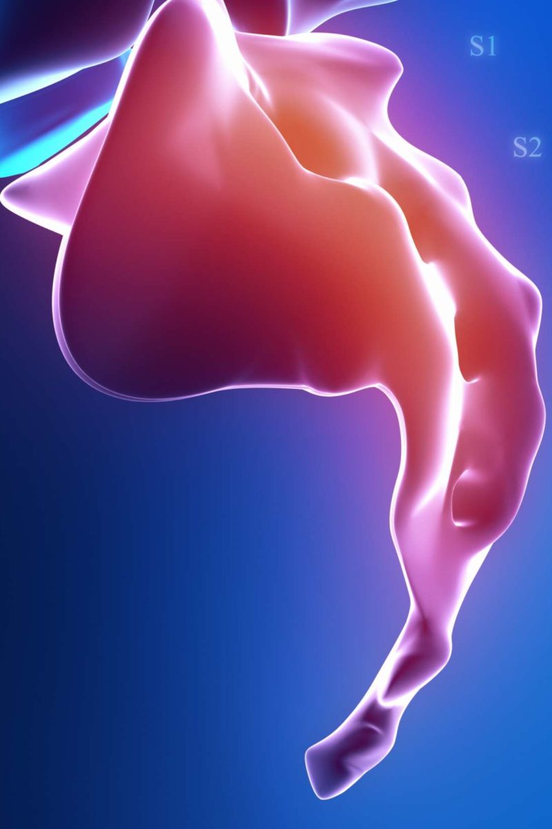 5 Tailbone Stretches And Exercises For Pain And Soreness