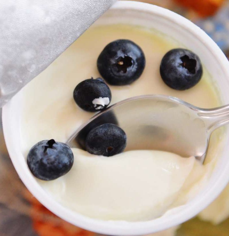 Yogurt With Lactobacillus Acidophilus Sources And Health Benefits