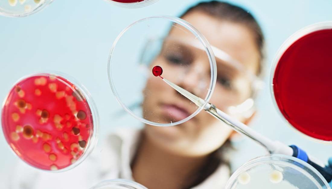 Antibiotic plus probiotic combination may kill off superbugs