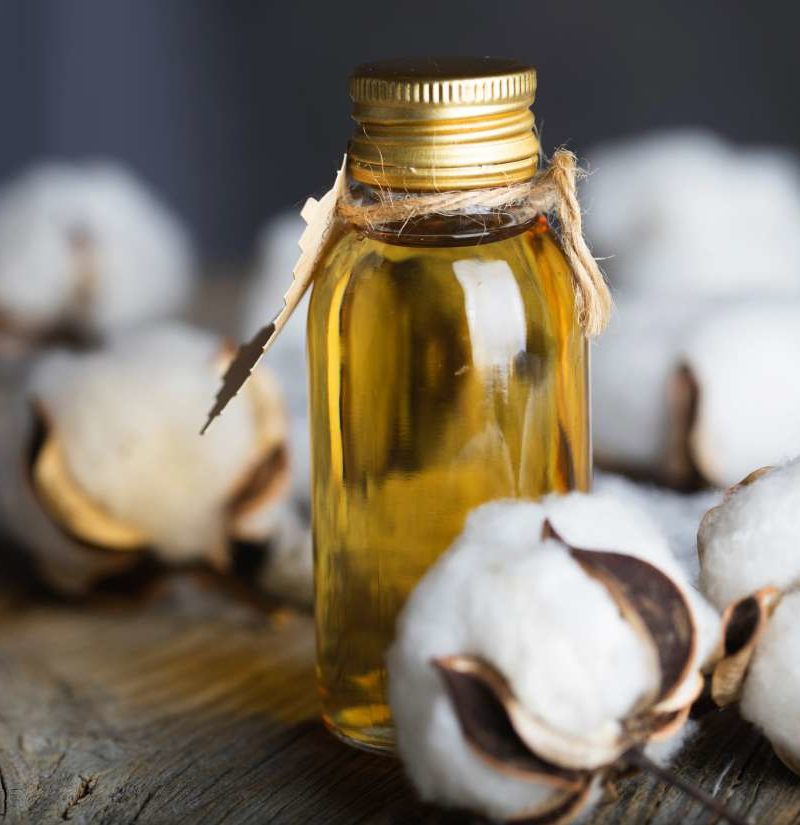 Can cottonseed oil help lower your 'bad' cholesterol?