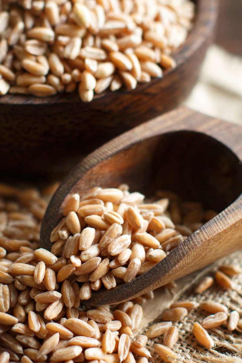 Spelt Nutrition Health Benefits And How To Use It