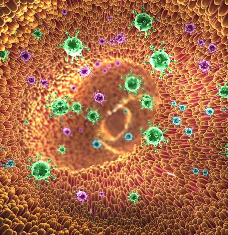 Short essay on microorganisms image