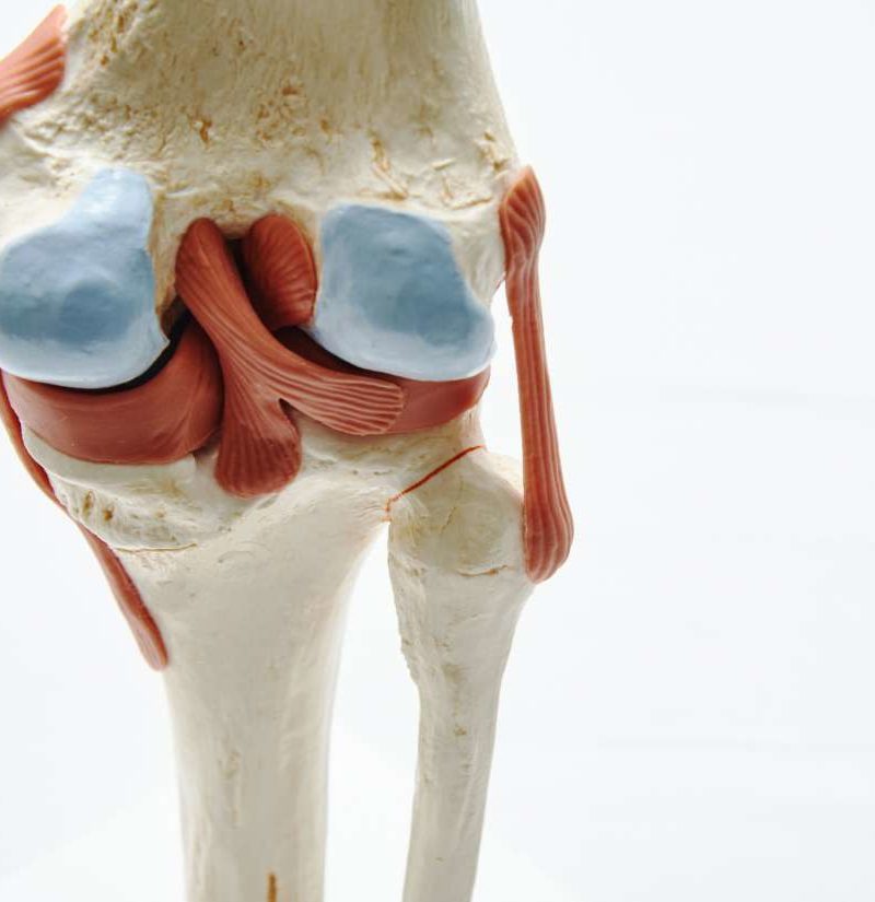 Can nanotech slow the progress of osteoarthritis?