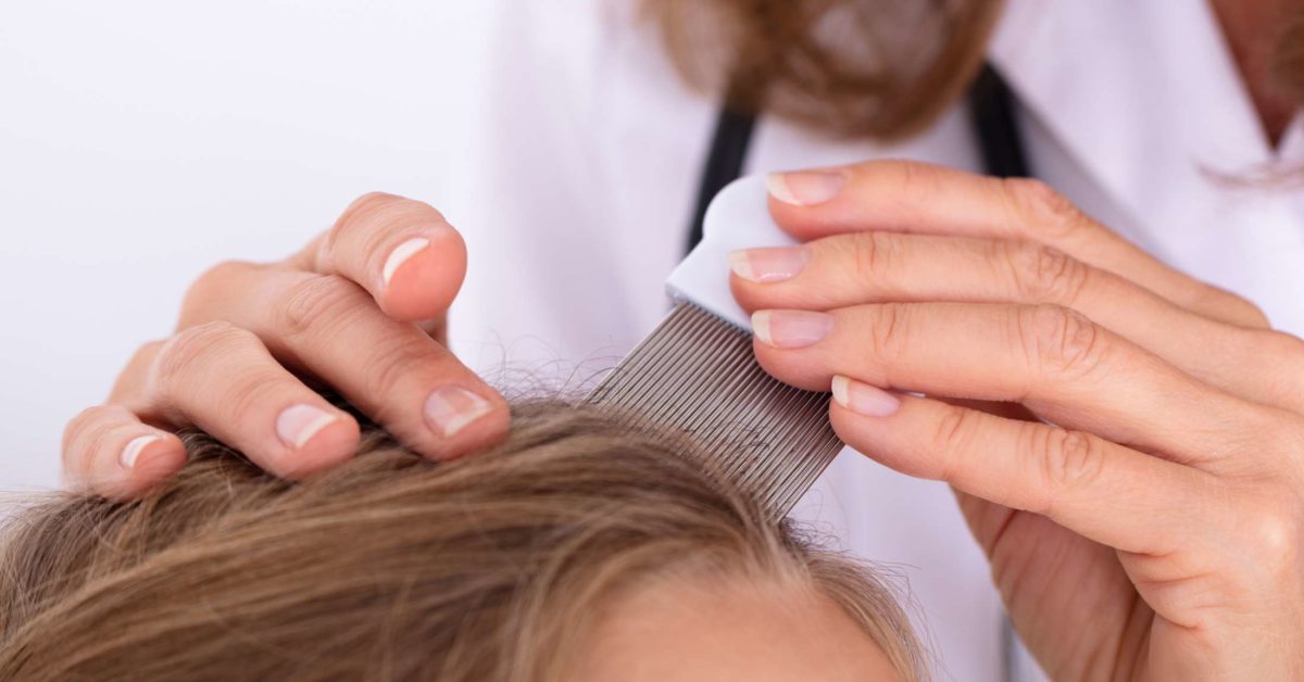 lice eggs on finger