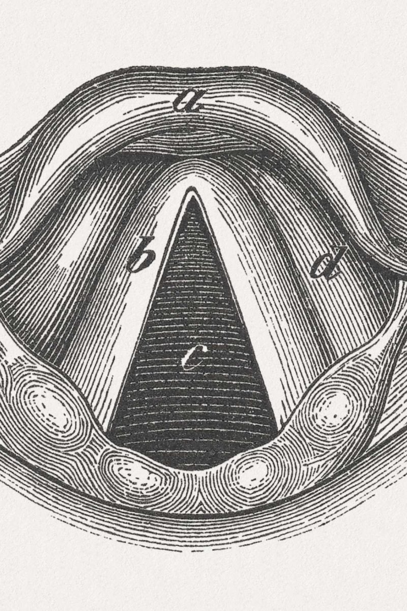 Could acid reflux explain sudden unexpected death in epilepsy?