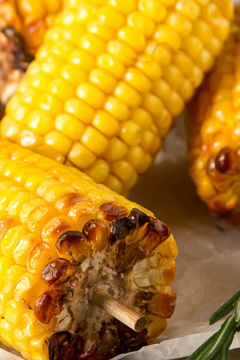 maize corn cob