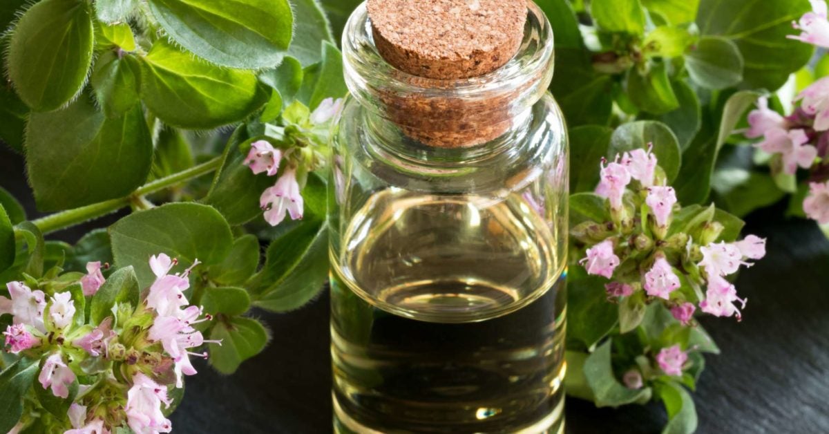 Oregano essential oil: 10 health benefits and how to use it