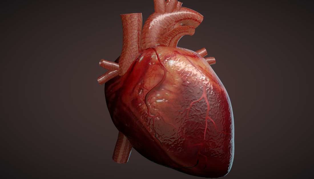 Using small molecules to regenerate heart tissue