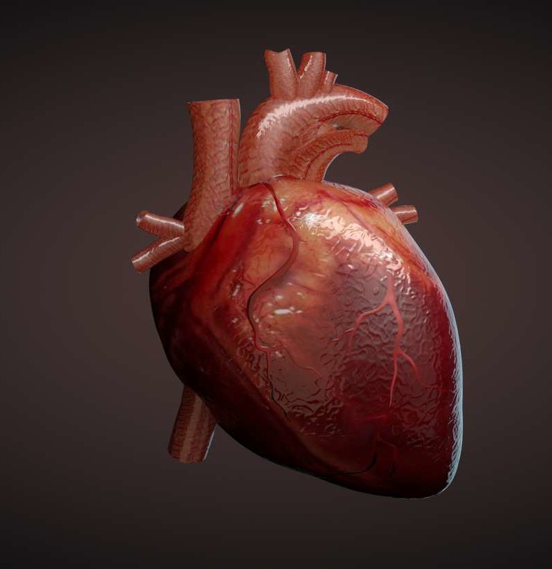 Using small molecules to regenerate heart tissue