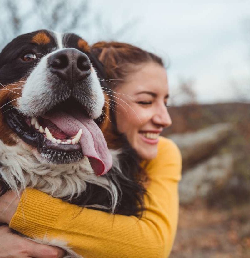 Dog ownership could be down to genes