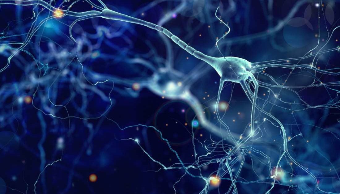Brain changes may explain why exercise relieves autism in mice