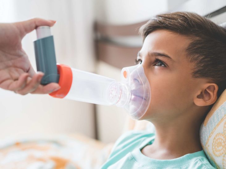 What Is Home Nebulizer Therapy? Overview And How To Use