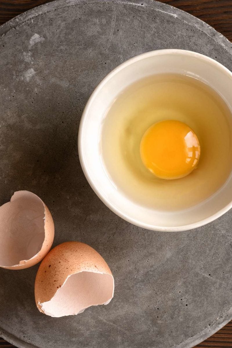 can dogs get salmonella from eating raw eggs