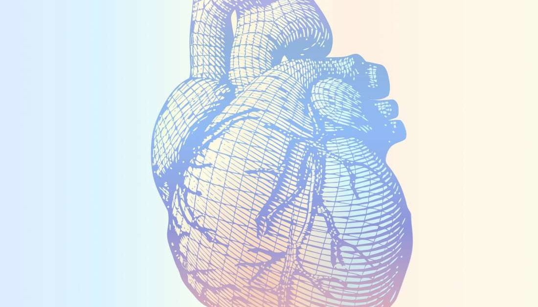 How an omega6 fatty acid may keep heart disease at bay