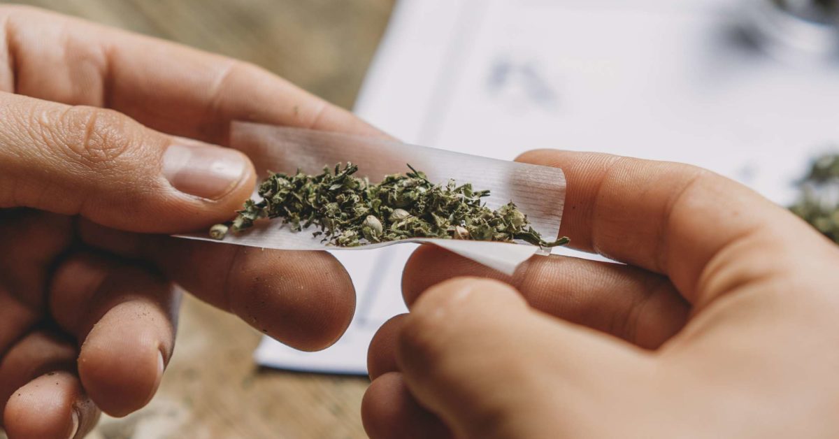 Peeling Back the Leaf: The Stimulant Debate on Marijuana