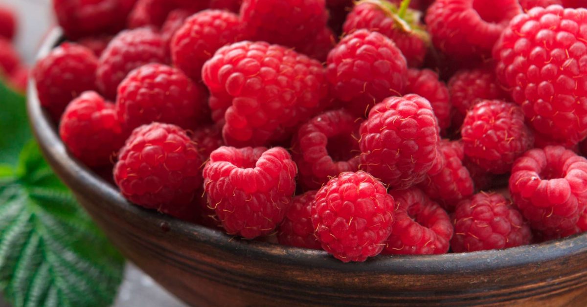 Raspberry ketones for appetite suppression