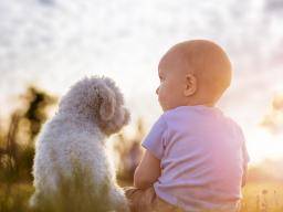 Dogs may lower risk of childhood eczema, reduce asthma symptoms