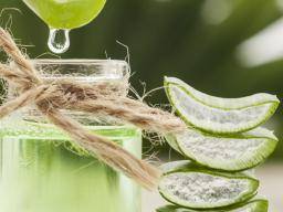 Benefits of aloe vera for hair