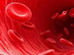 Low Red Blood Cell Count Symptoms Diet And Lifestyle Changes