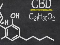 CBD Oil for Depression, Schizophrenia ...