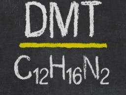 DMT: Side effects, facts, and health risks