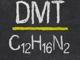 Dmt Side Effects Facts And Health Risks