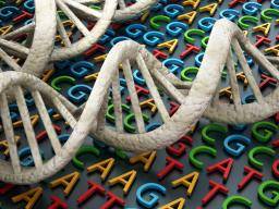 dna is two coiled strands known as a