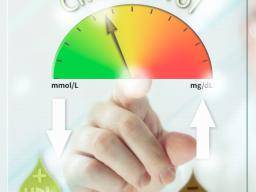 Low Cholesterol Breakfast What You Need To Know
