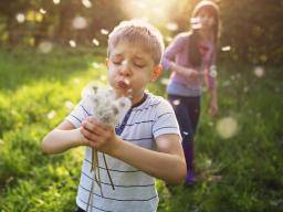 Hay fever (allergic rhinitis): Symptoms, causes, and treatment