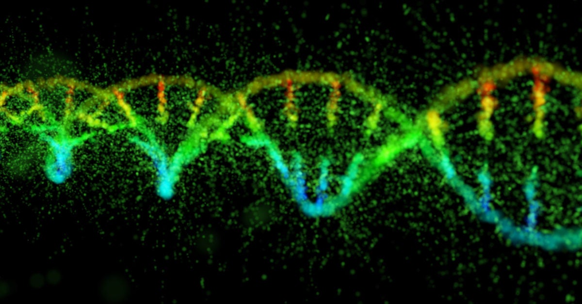 Genetic mutation makes TB resistant to common antibiotic