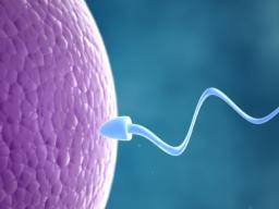hpv virus and fertility galina de tenă