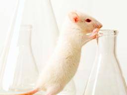 Autism Symptoms 'reversed' In Mice By 100-year-old Drug