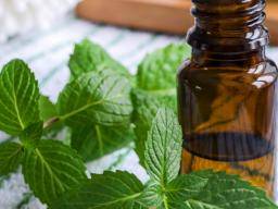 Is Peppermint Oil for Hair Growth Worth Trying?