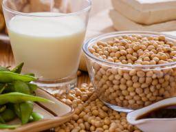 Soy protein may improve symptoms of inflammatory bowel disease 
